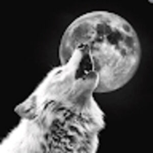 Meet your Posher, Ian